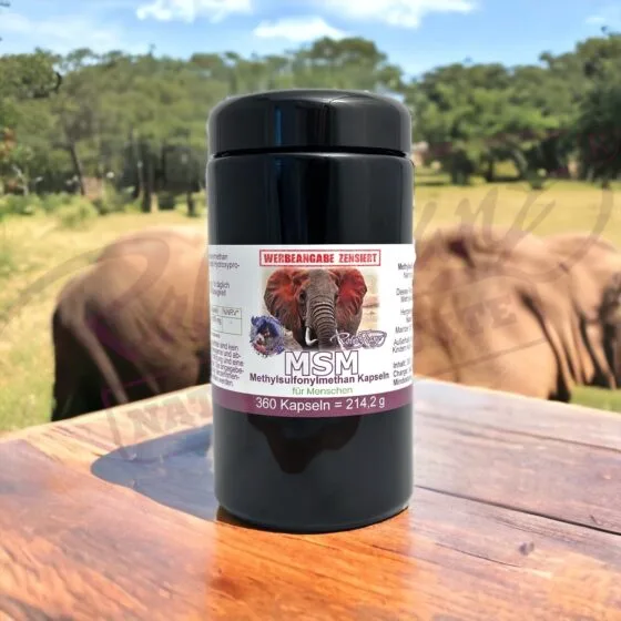 Alternative view of MSM Kapseln