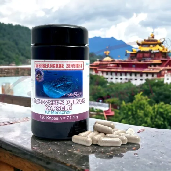 Alternative view of Cordyceps Kapseln