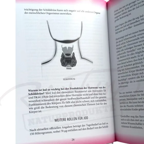 Alternative view of Jodbuch - wie Jod die Probleme der Menschheit lösen kann