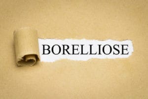 Robert Franz Borreliose