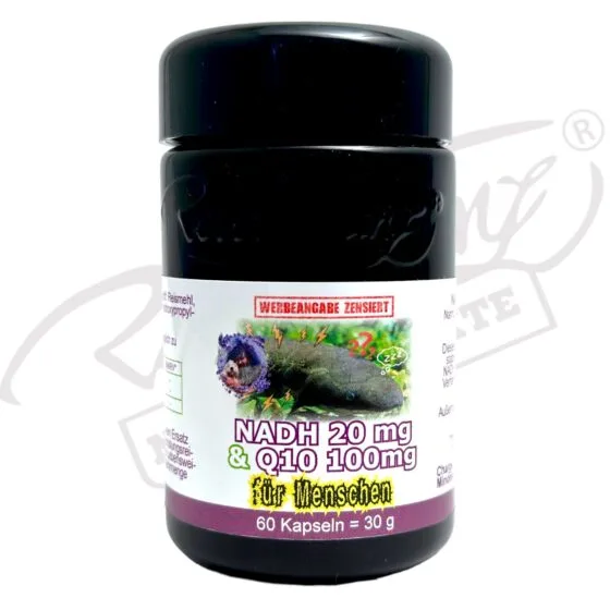 NADH Kapseln