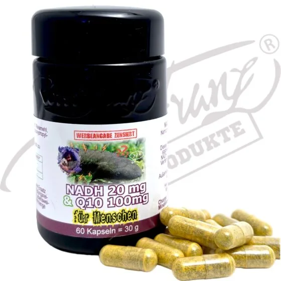 Alternative view of NADH Kapseln