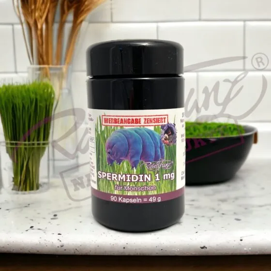 Alternative view of Spermidin Kapseln