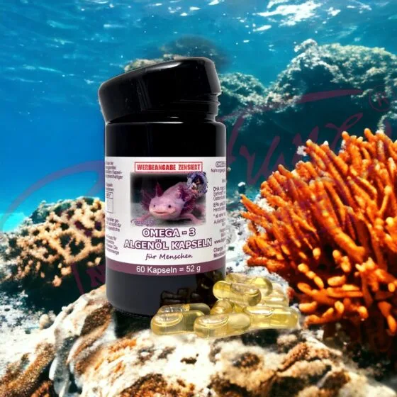 Alternative view of Omega 3 Algenöl Kapseln
