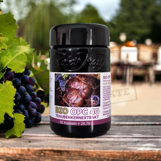 Alternative view of BIO OPC 40