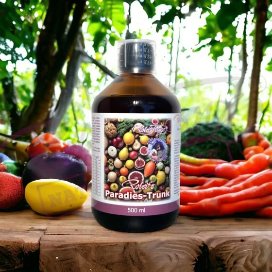 Alternative view of Robert`s Paradies Trunk